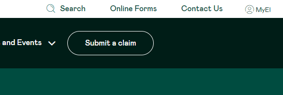 Identifying the Online Forms on a screenshot